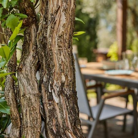 Villa Paier Relais & Pool Malcesine Exteriér fotografie